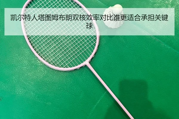 凯尔特人塔图姆布朗双核效率对比谁更适合承担关键球